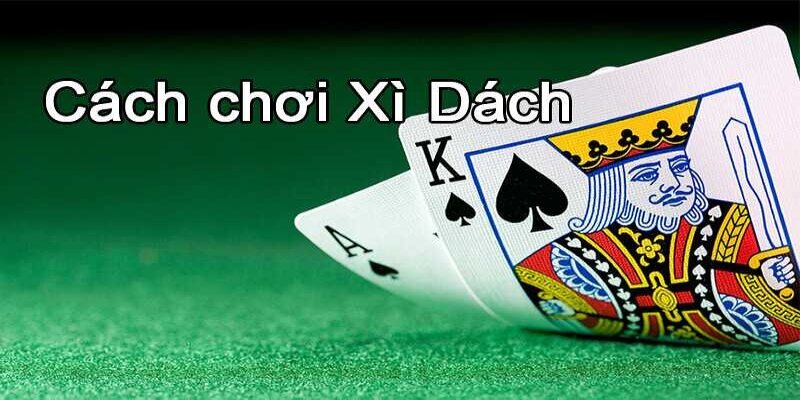 Cách Chơi Bài Xì Dách TK88 Chi Tiết, Dễ Hiểu Nhất Cho Tân Thủ