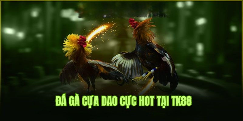 Đá Gà Cựa Dao - Hình Thức Tranh Tài Hot Hit Số 1 Tại TK88