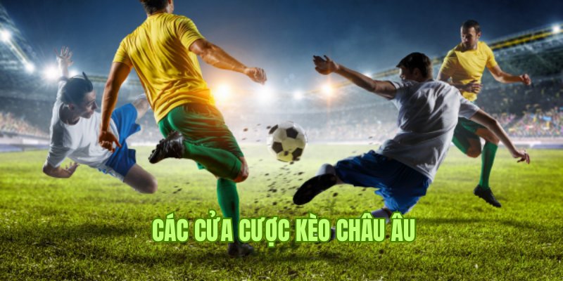 Tổng hợp các cửa cược của kèo châu Âu tại TK88