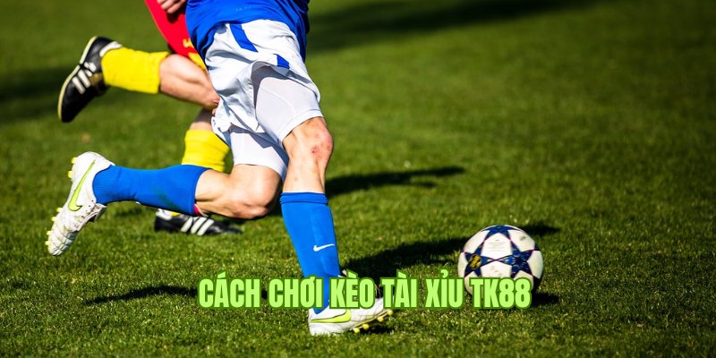 Cách chơi kèo Tài Xỉu dễ dàng nắm chắc chiến thắng 