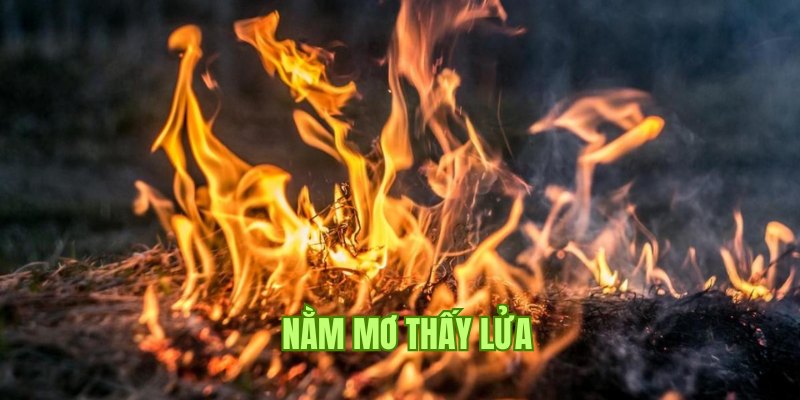 Nằm Mơ Thấy Lửa - Giải Mã Điềm Báo Chuẩn 100% Theo TK88